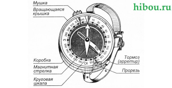 Рычажок, делающий стрелку компаса неподвижной - 7 букв