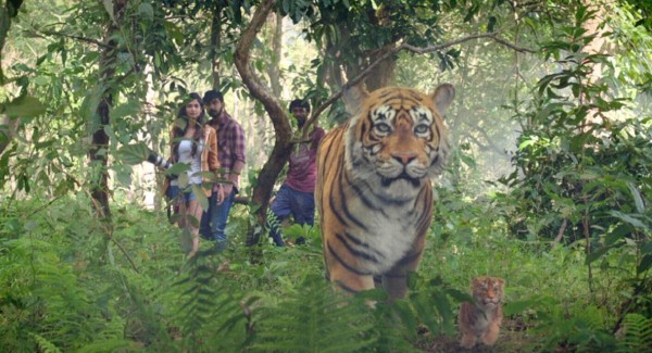 Тигр спас девушку индийский фильм